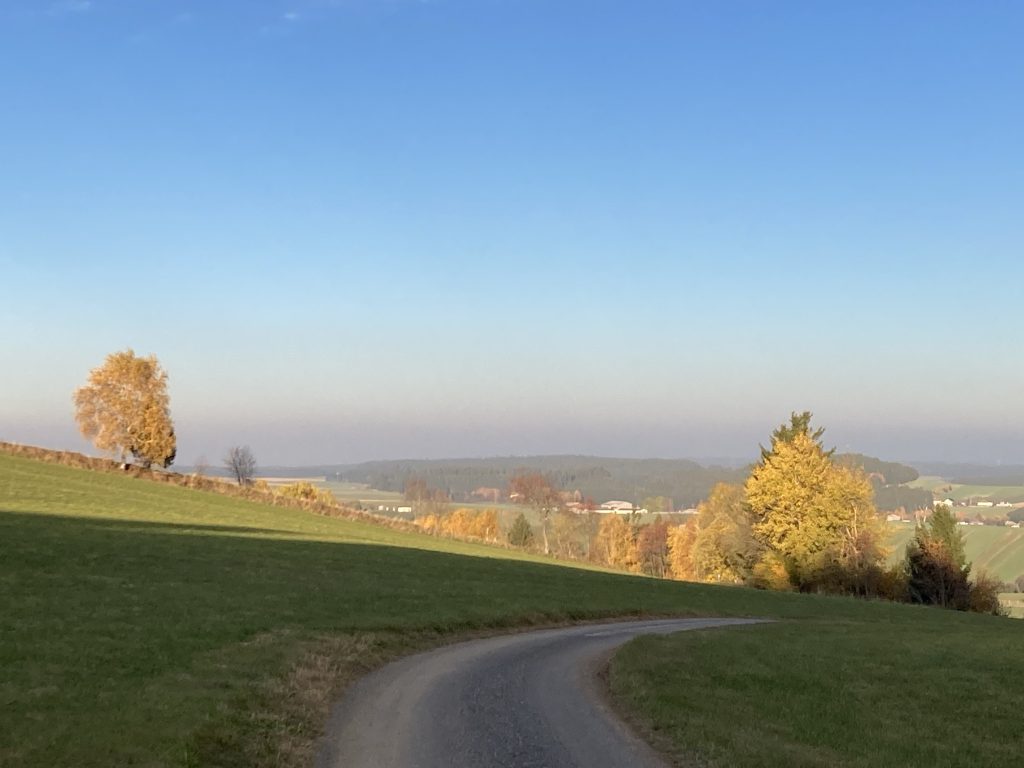 Blick über die Wiesen auf Martinsberg