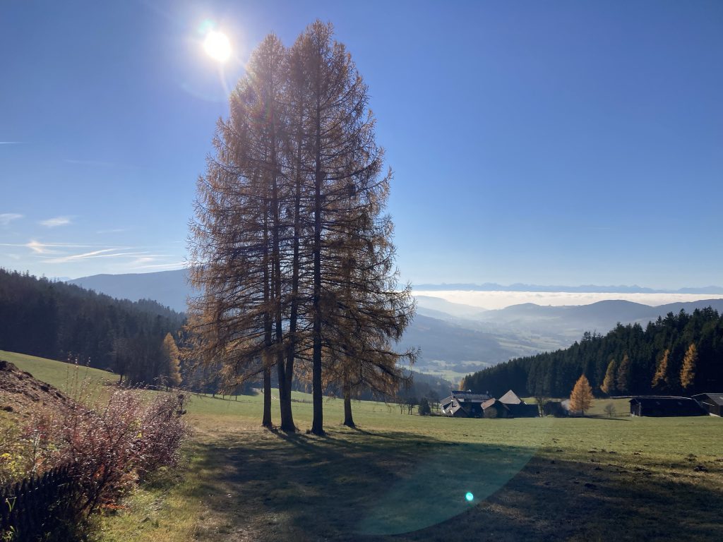 Alpenblick vom Ödbauer übers Nebelmeer