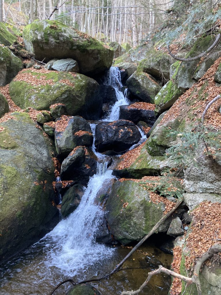 tosendes Wasser in der Ysperklamm