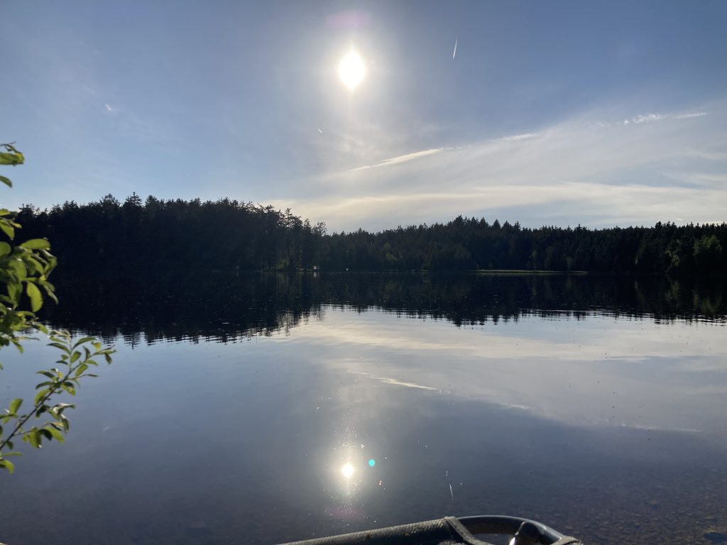 Abendstimmung am Edlesberger Teich