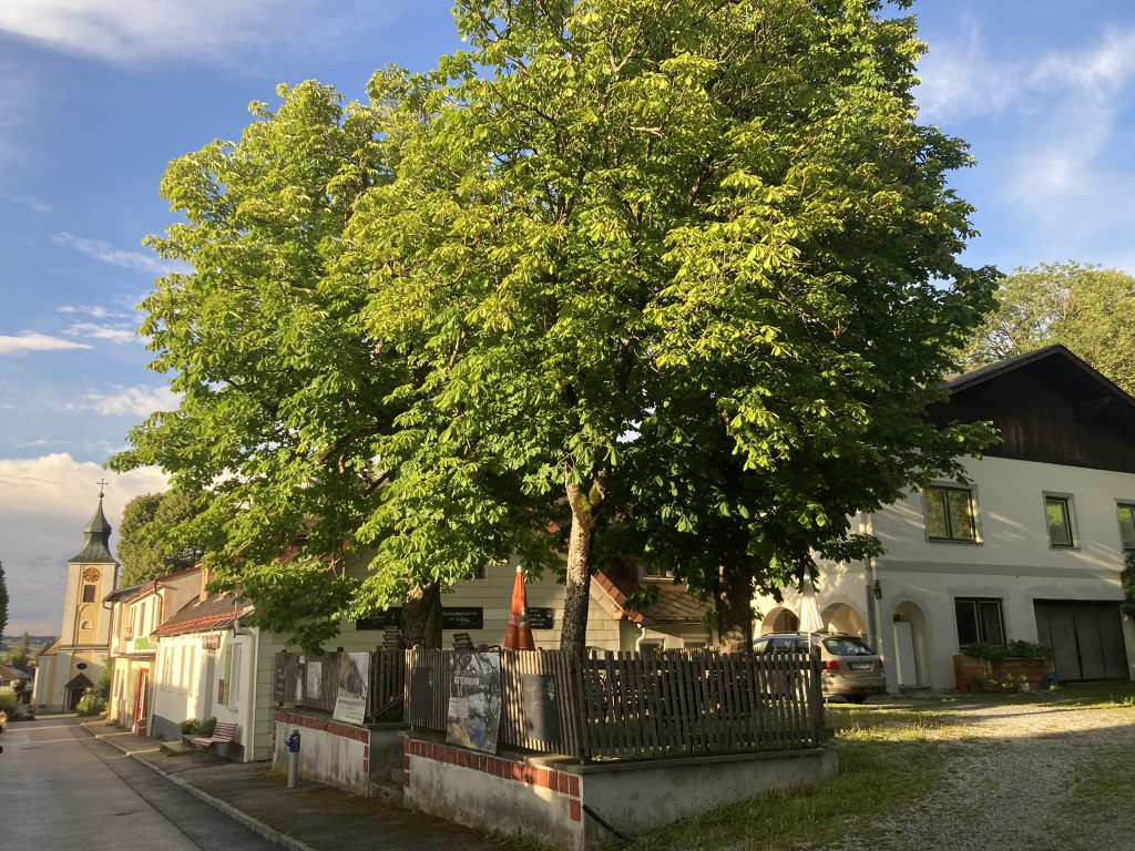 Gastgarten Bühnenwirtshaus Juster